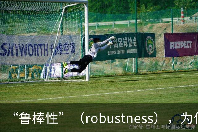 “鲁棒性”（robustness），为什么是糟糕的翻译？